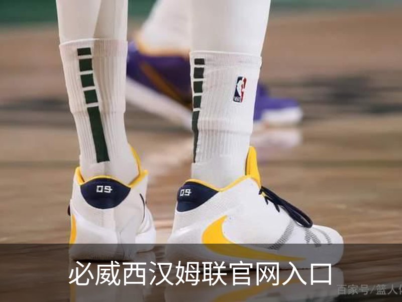 了解必威西汉姆联官网入口